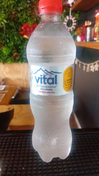 Producto Agua Mineral S/G